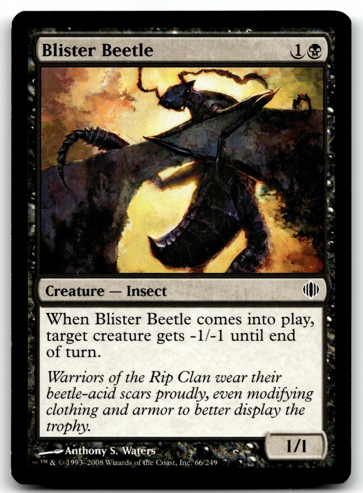 Blister Beetle 66 Common Shards of Alara Magic: The Gathering Near Mint