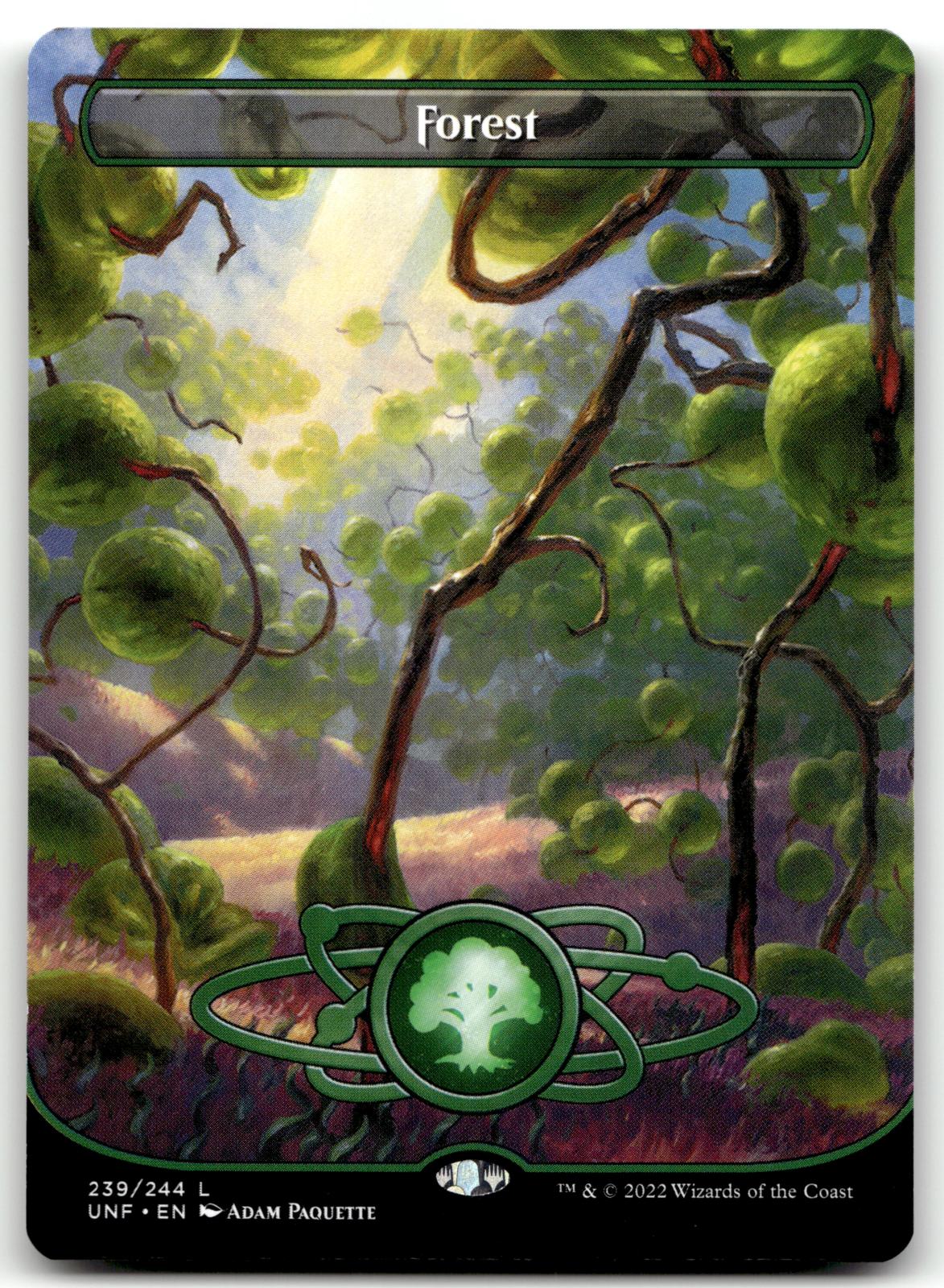 Forest (239) (Borderless) 239 Land Unfinity Magic: The Gathering Near Mint
