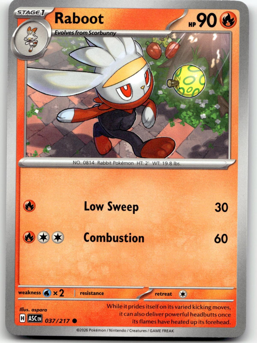 Raboot 037/217 Common Ascended Heroes Pokemon Near Mint