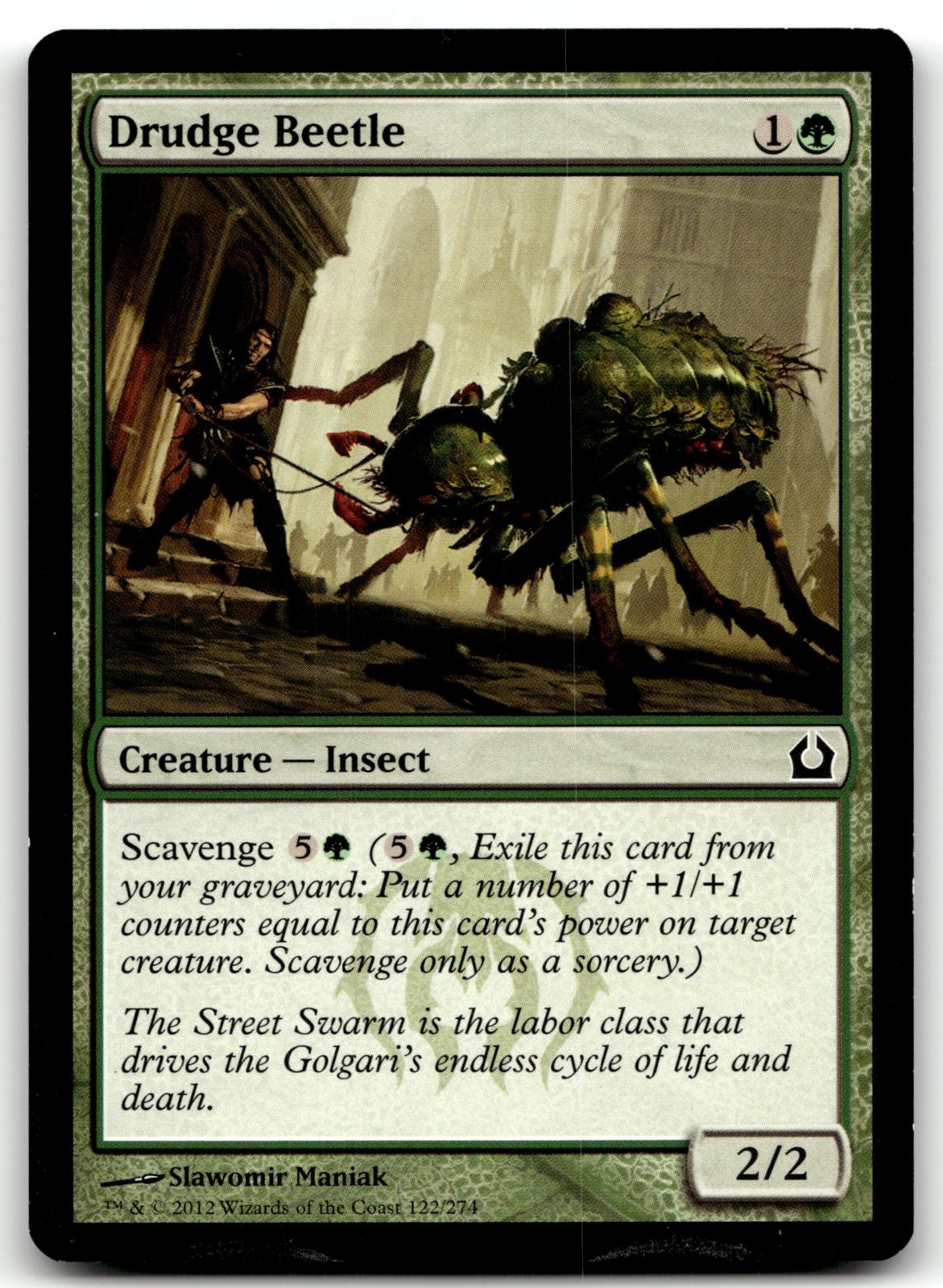 Drudge Beetle 122 Common Return to Ravnica Magic: The Gathering Near Mint