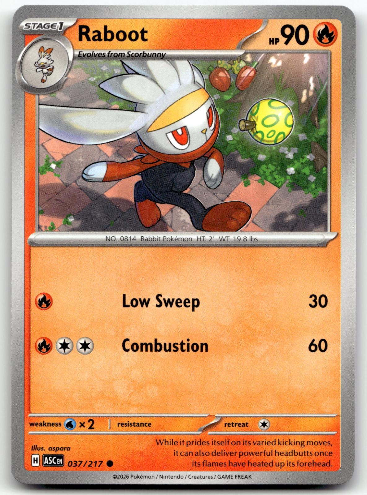 Raboot 037/217 Common Ascended Heroes Pokemon Near Mint
