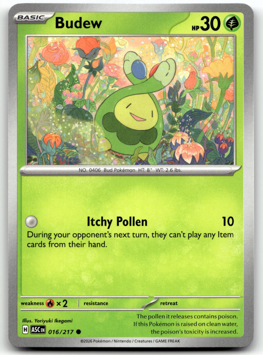 Budew 016/217 Common Ascended Heroes Pokemon Near Mint