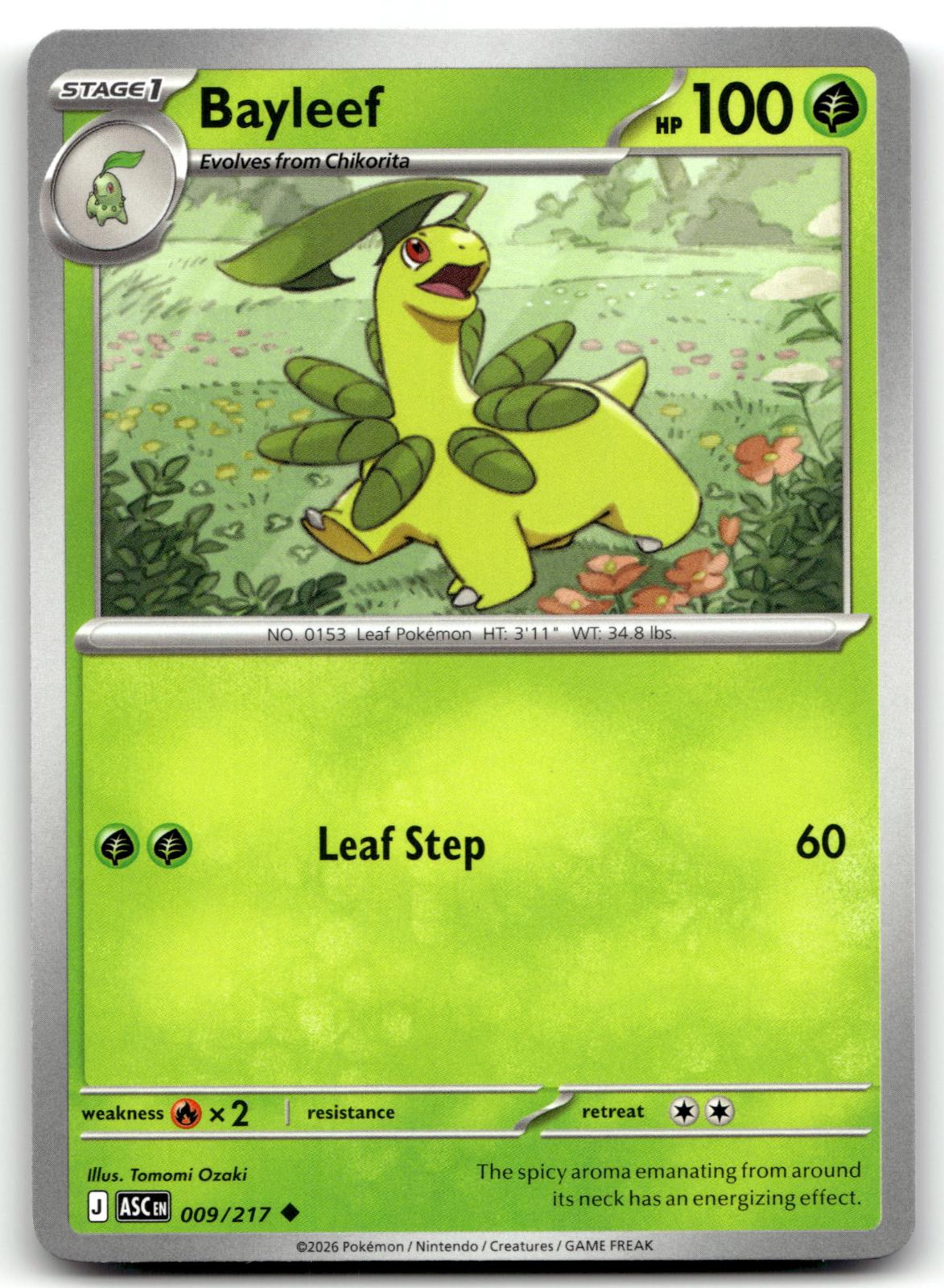 Bayleef 009/217 Uncommon Ascended Heroes Pokemon Near Mint