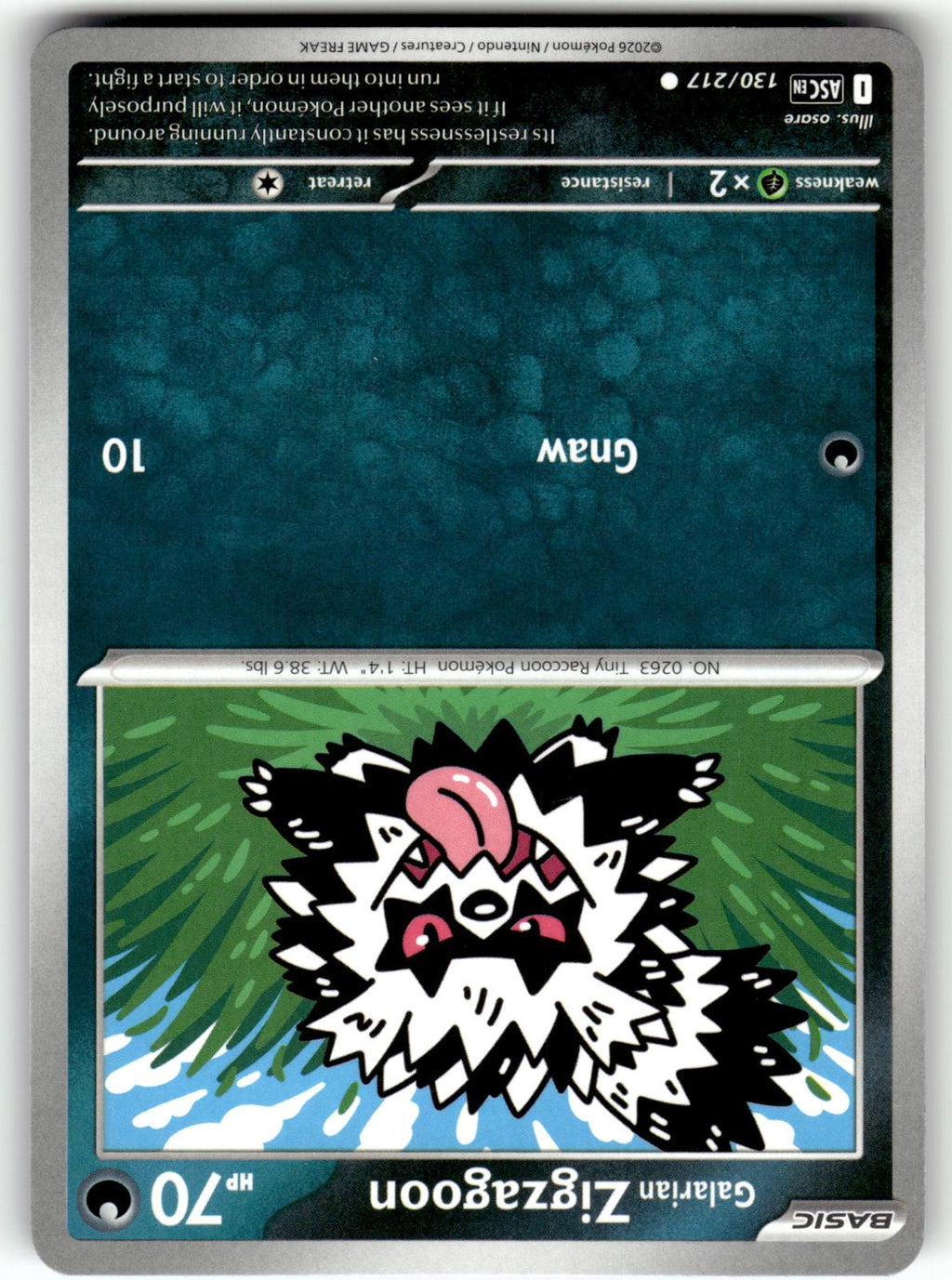 Galarian Zigzagoon 130/217 Common Ascended Heroes Pokemon Near Mint