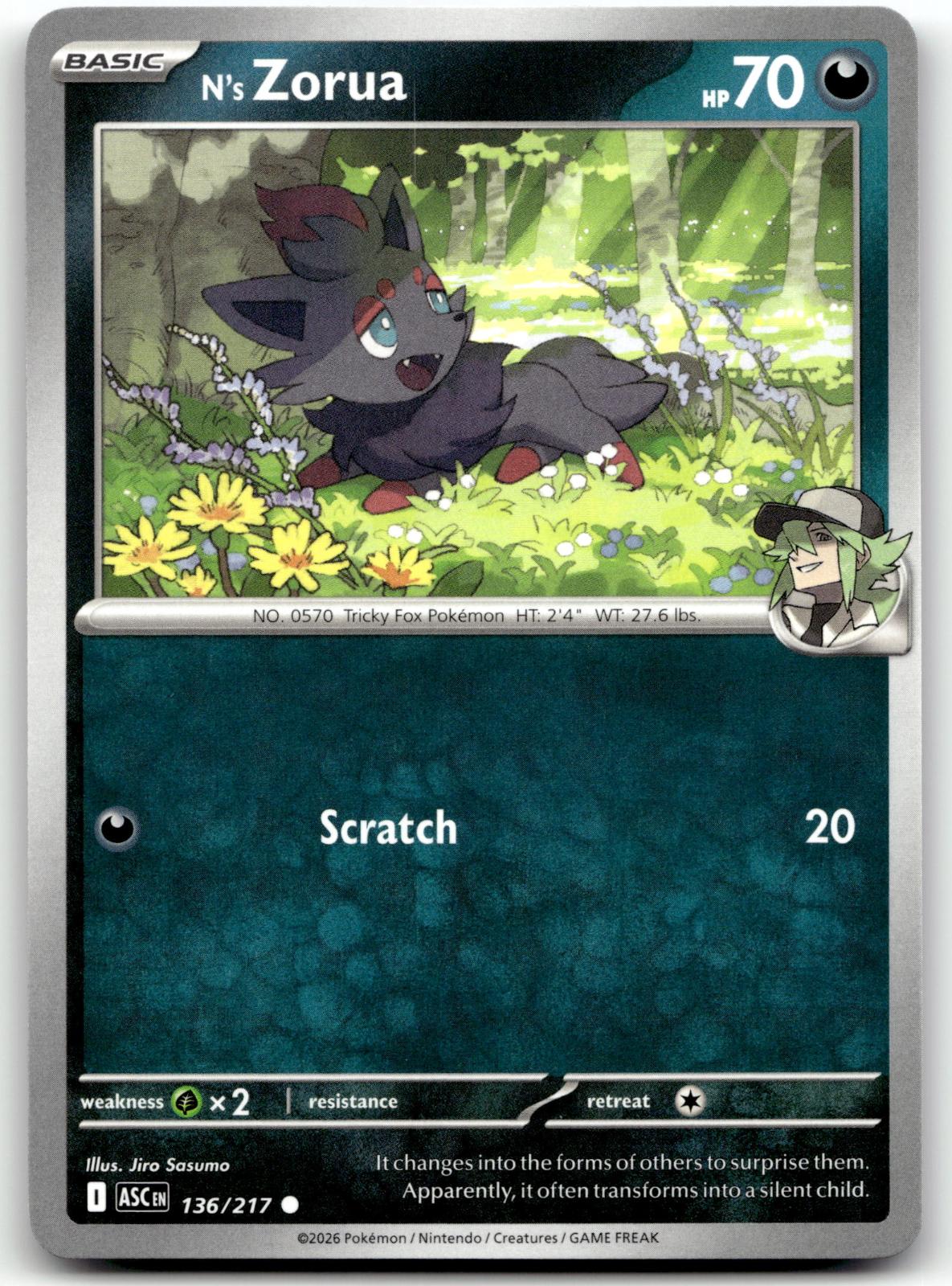 N's Zorua 136/217 Common Ascended Heroes Pokemon Near Mint
