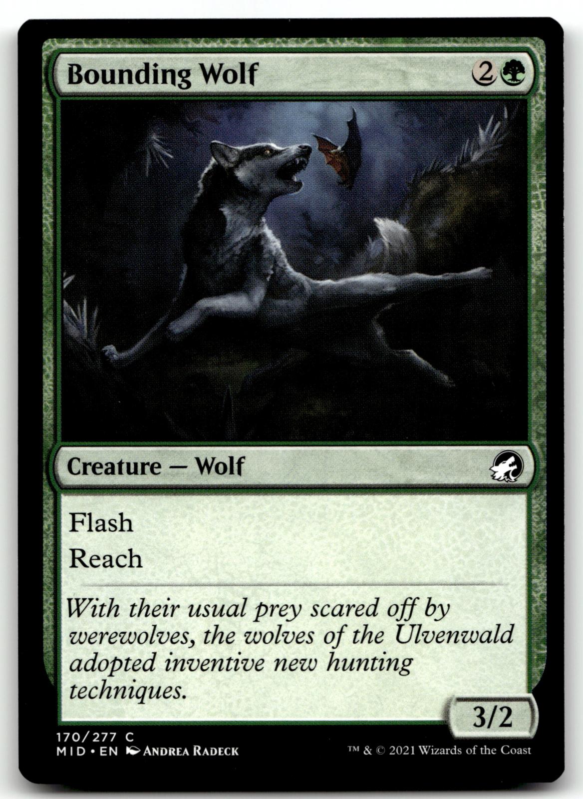 Bounding Wolf 170 Common Innistrad: Midnight Hunt Magic: The Gathering Near Mint