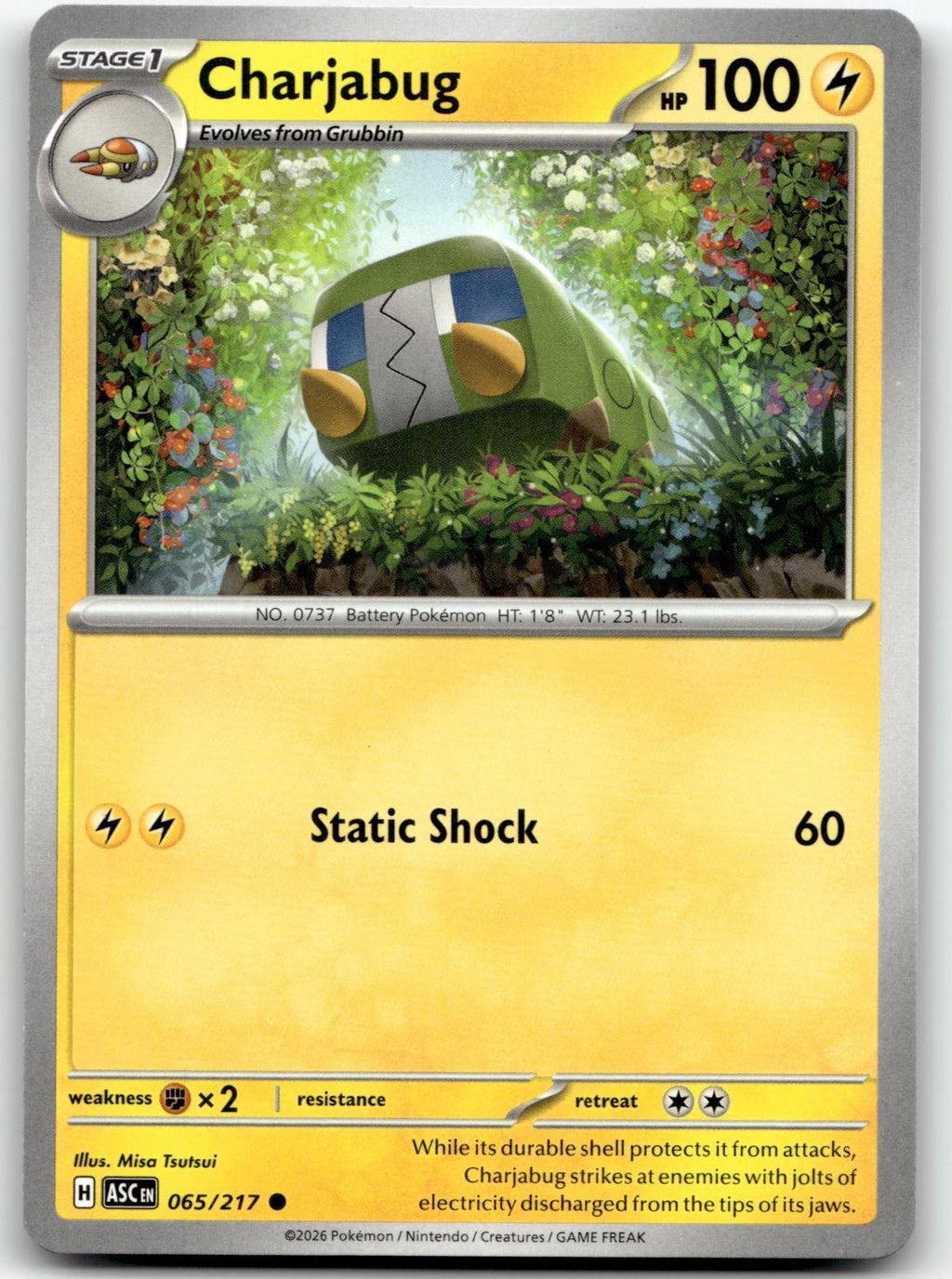Charjabug 065/217 Common Ascended Heroes Pokemon Near Mint