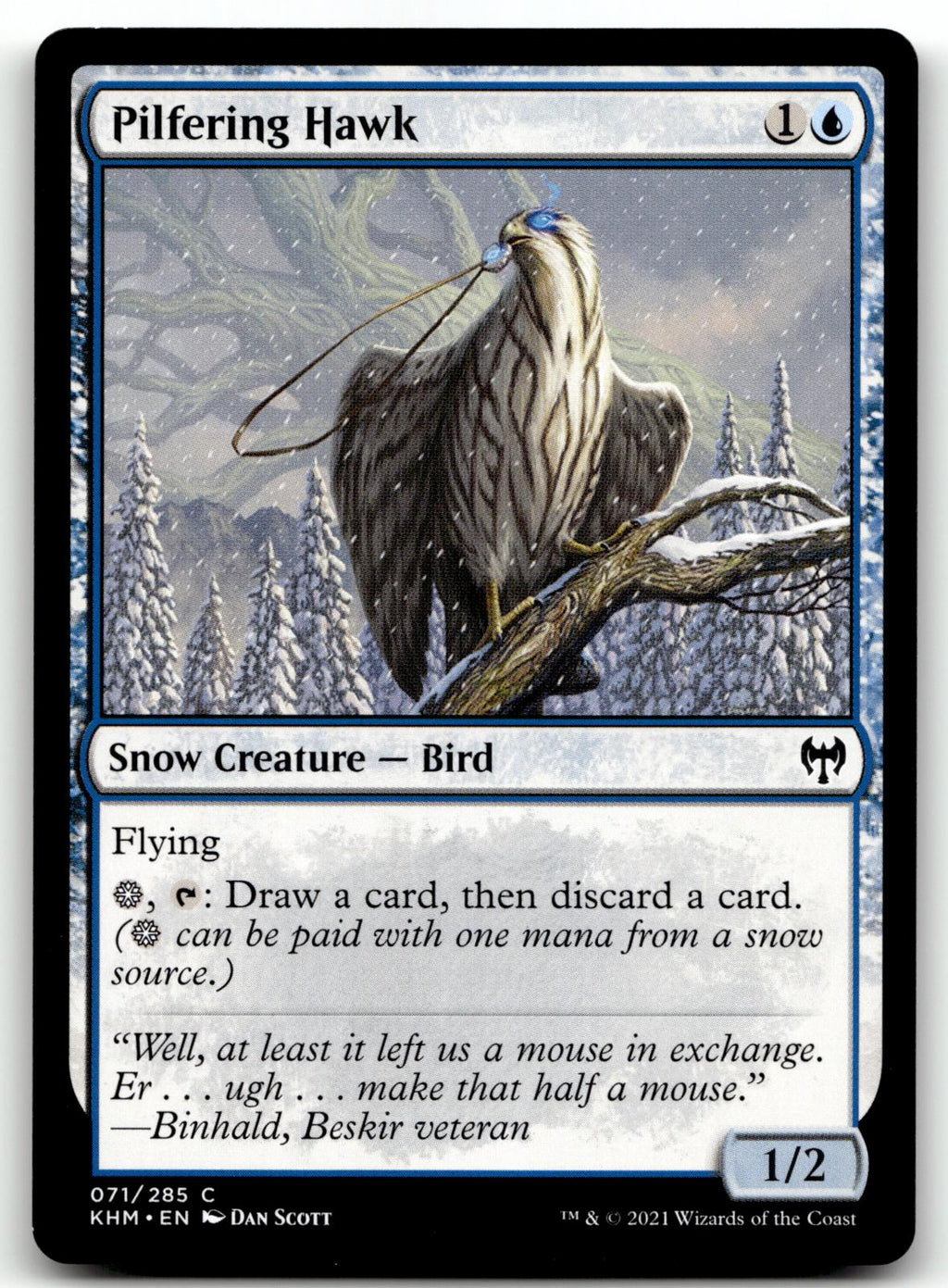 Pilfering Hawk 71 Common Kaldheim Magic: The Gathering Near Mint