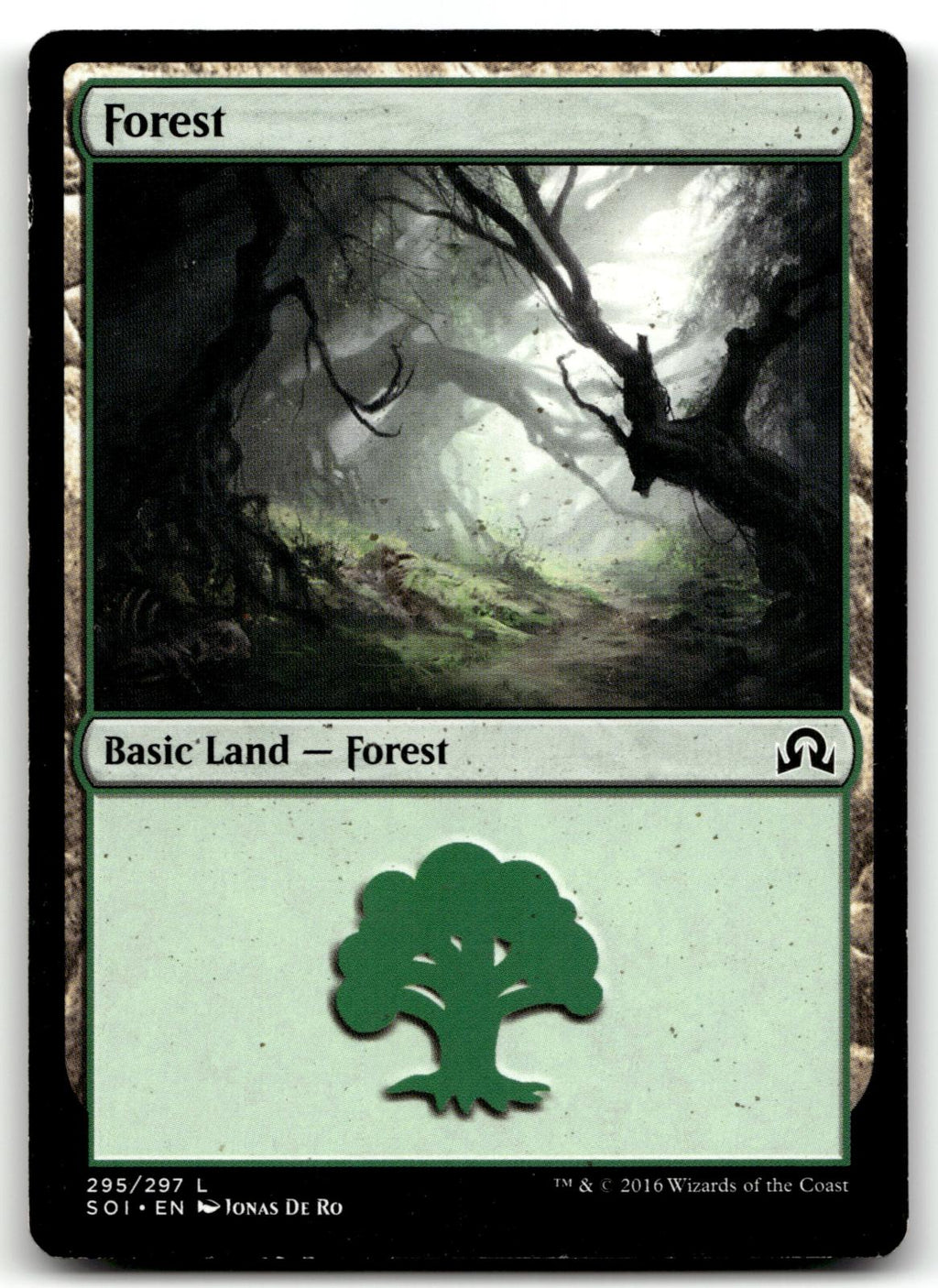Forest (295) 295 Land Shadows over Innistrad Magic: The Gathering Near Mint
