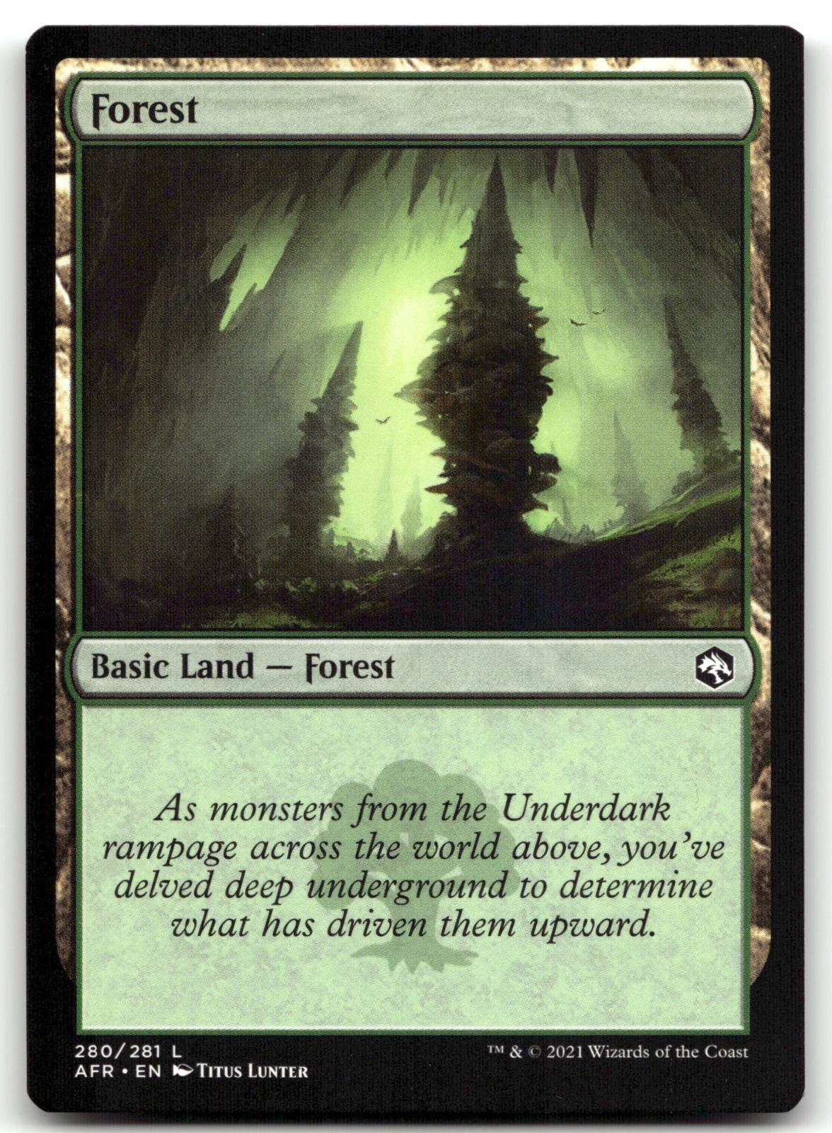 Forest (280) 280 Land Adventures in the Forgotten Realms Magic: The Gathering NM
