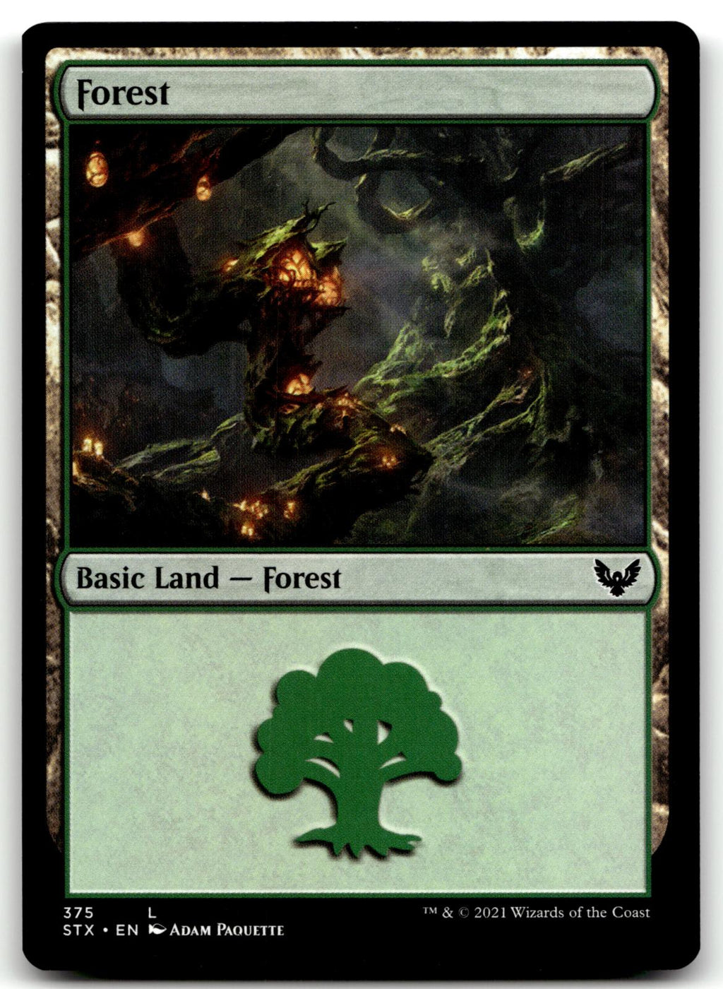 Forest (375) 375 Land Strixhaven: School of Mages Magic: The Gathering Near Mint