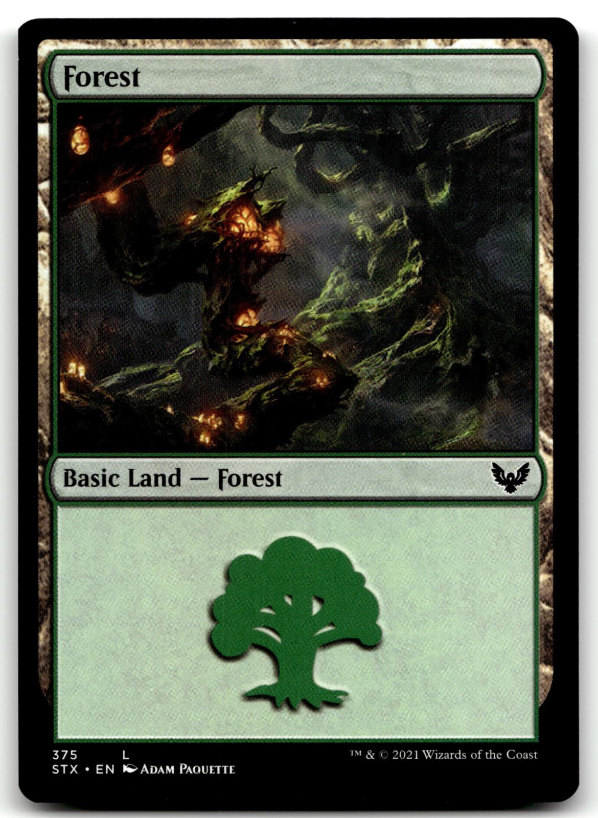 Forest (375) 375 Land Strixhaven: School of Mages Magic: The Gathering Near Mint