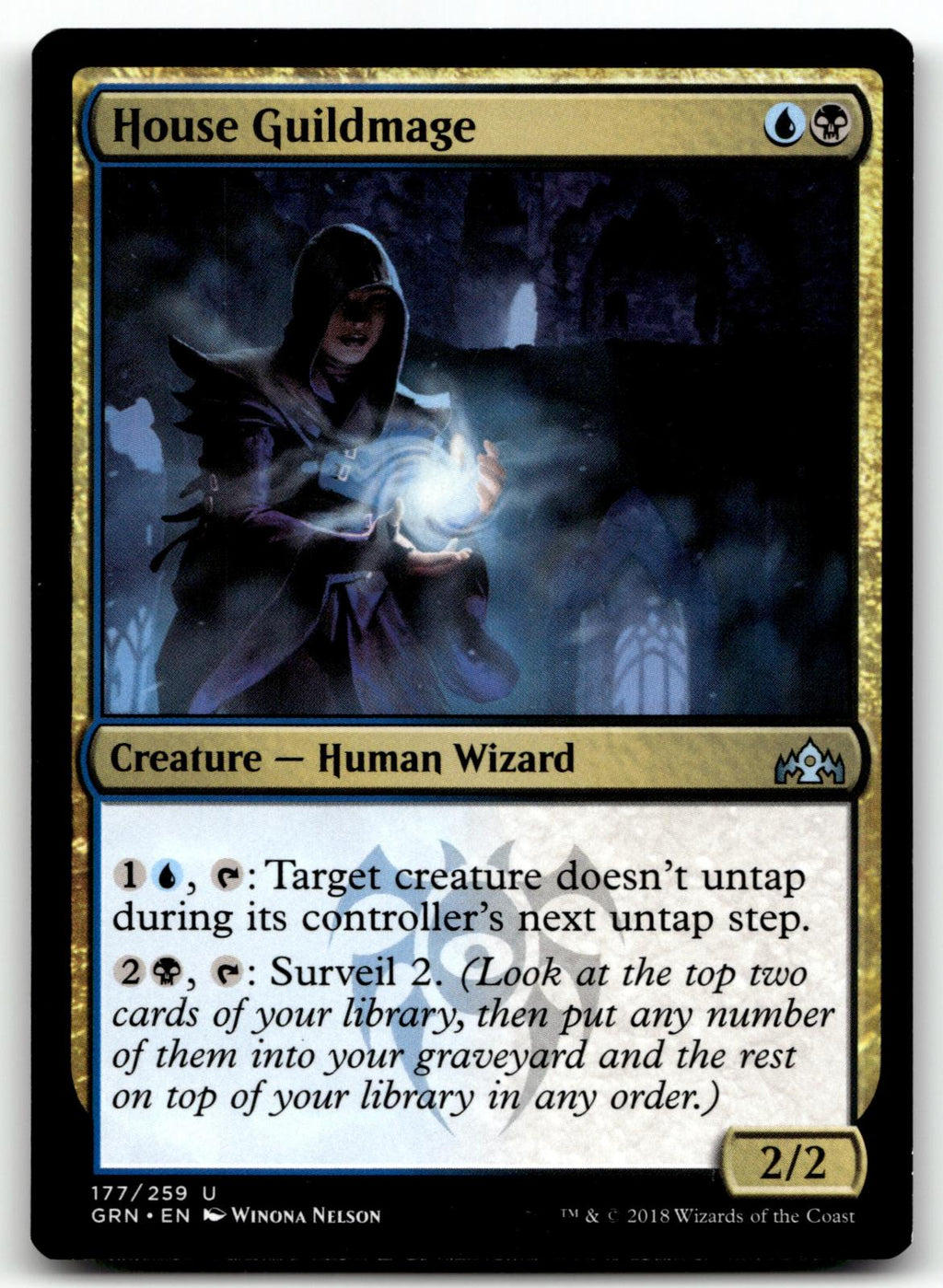 House Guildmage 177 Uncommon Guilds of Ravnica Magic: The Gathering Near Mint