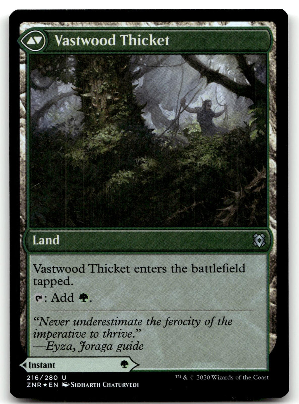 Vastwood Fortification 216 Uncommon Zendikar Rising Magic: The Gathering Foil NM