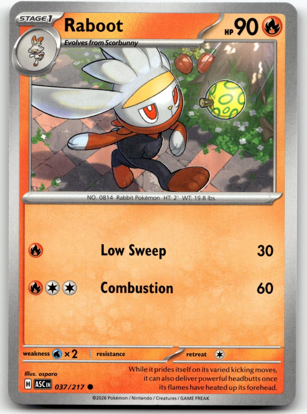 Raboot 037/217 Common Ascended Heroes Pokemon Near Mint