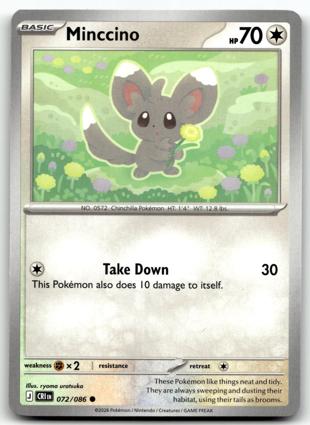Minccino 072/086 Common Chaos Rising Pokemon Near Mint