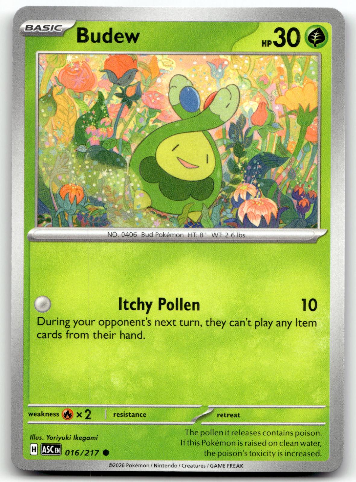 Budew 016/217 Common Ascended Heroes Pokemon Near Mint