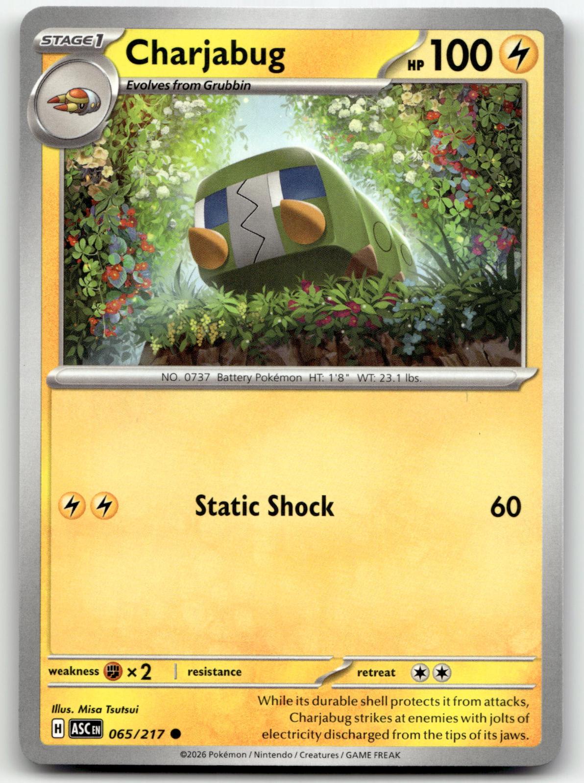Charjabug 065/217 Common Ascended Heroes Pokemon Near Mint