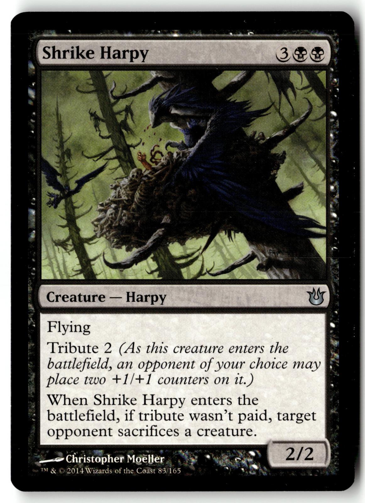 Shrike Harpy 83 Uncommon Born of the Gods Magic: The Gathering Near Mint