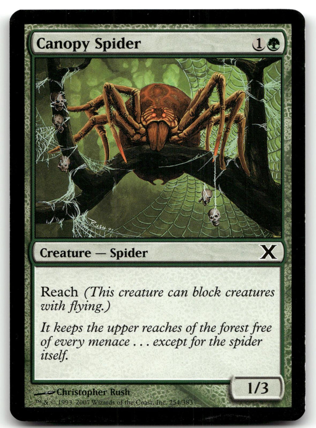 Canopy Spider 254 Common 10th Edition Magic: The Gathering Near Mint