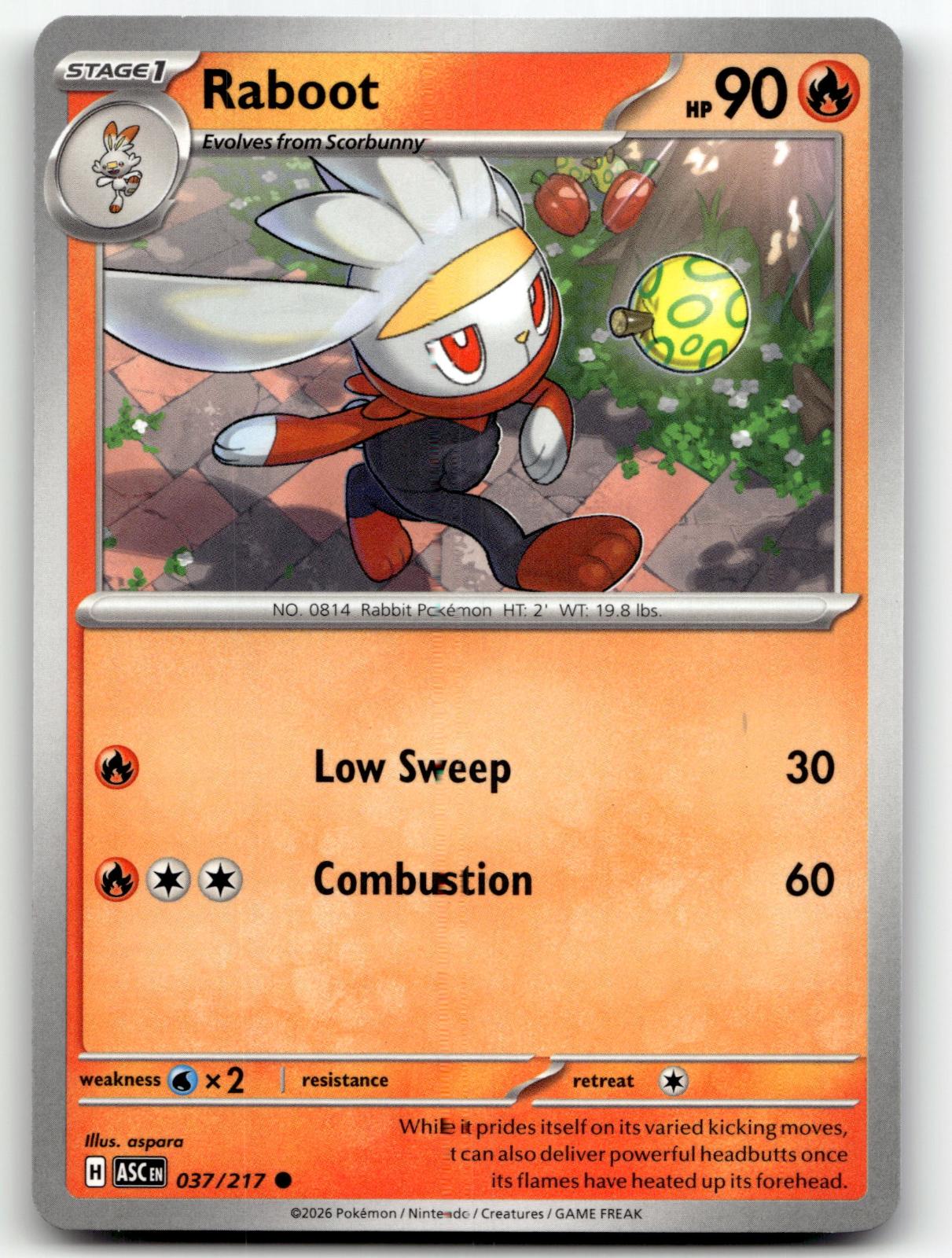 Raboot 037/217 Common Ascended Heroes Pokemon Near Mint