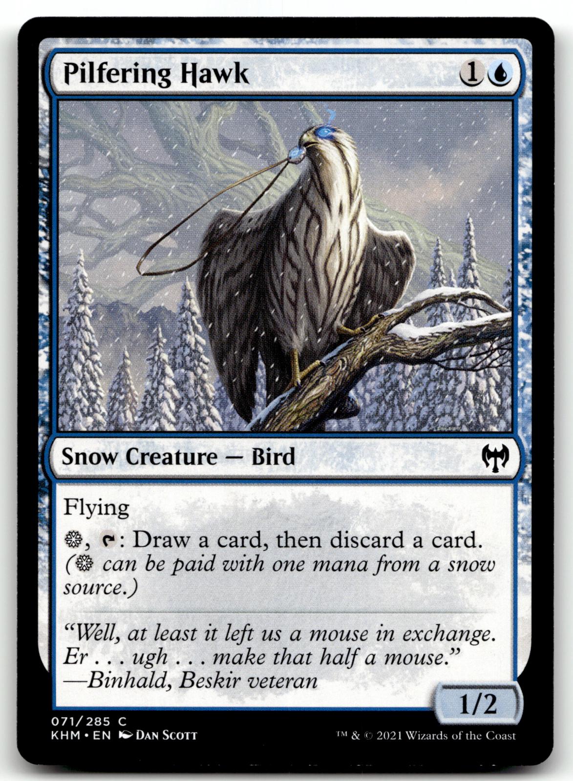 Pilfering Hawk 71 Common Kaldheim Magic: The Gathering Near Mint