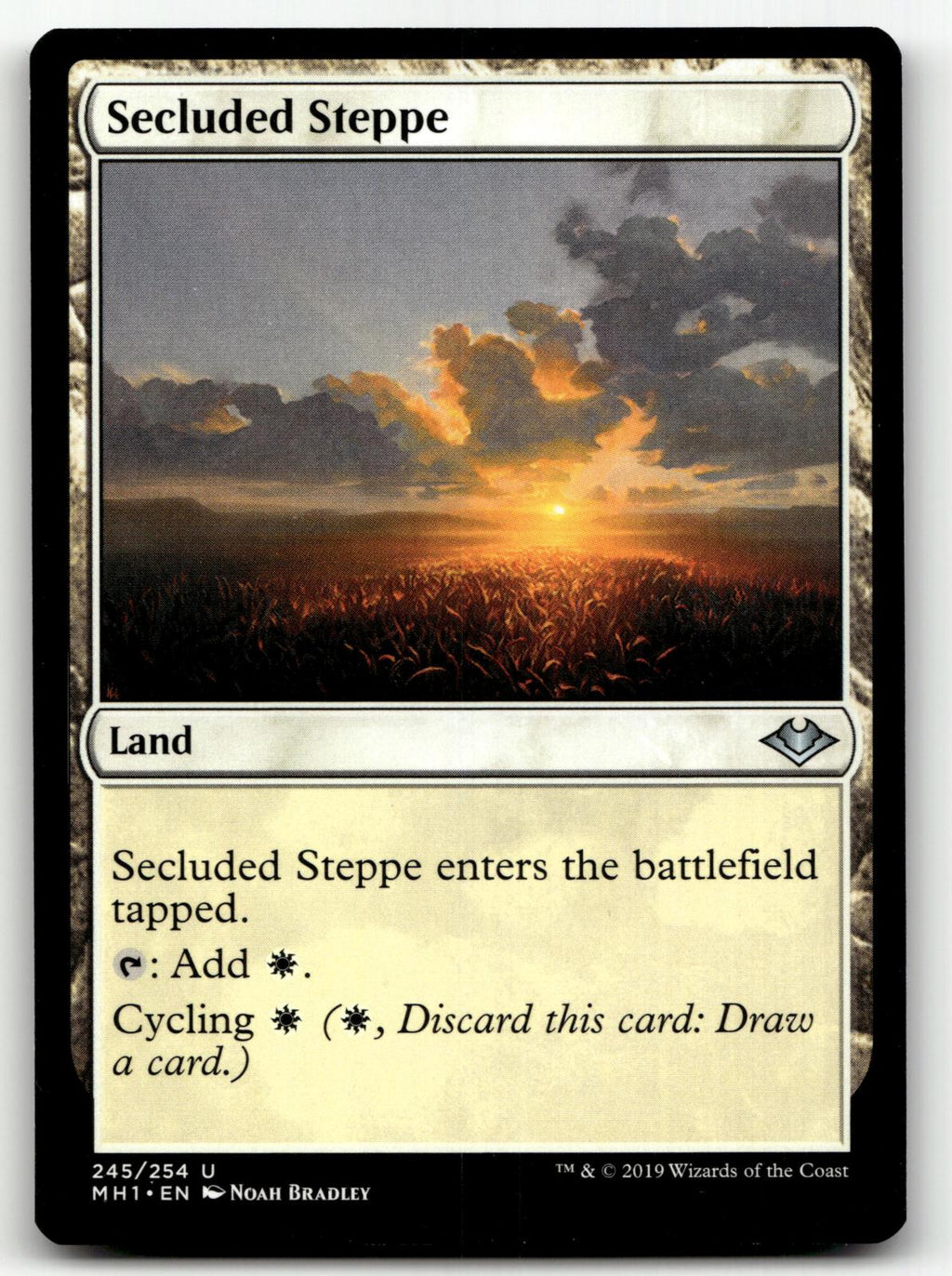 Secluded Steppe 245 Uncommon Modern Horizons Magic: The Gathering Near Mint