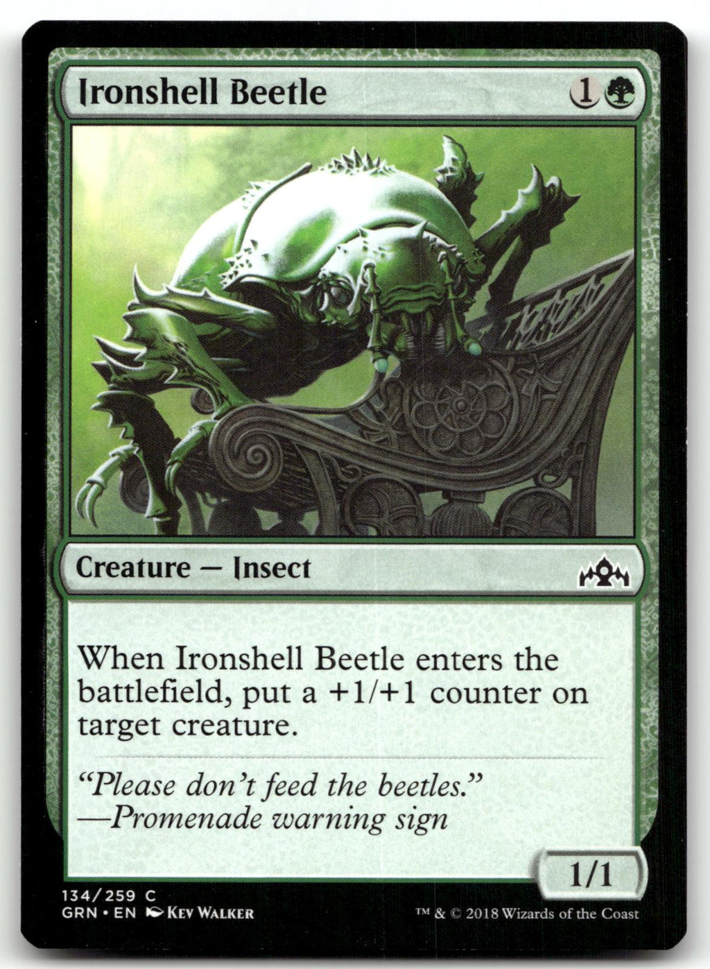Ironshell Beetle 134 Common Guilds of Ravnica Magic: The Gathering Near Mint