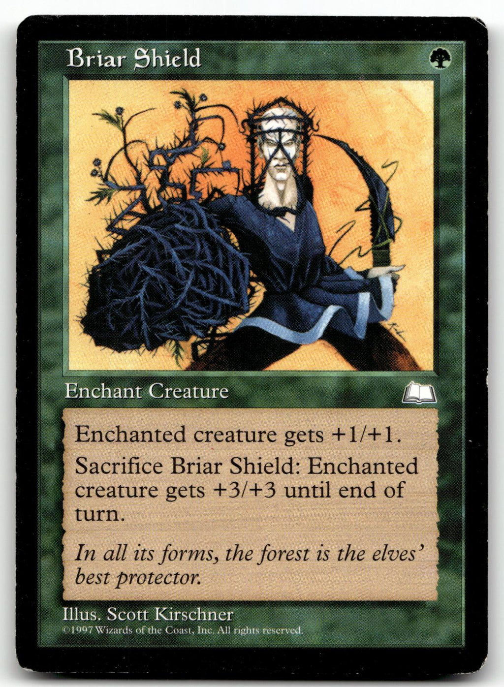 Briar Shield Common Weatherlight Magic: The Gathering Near Mint