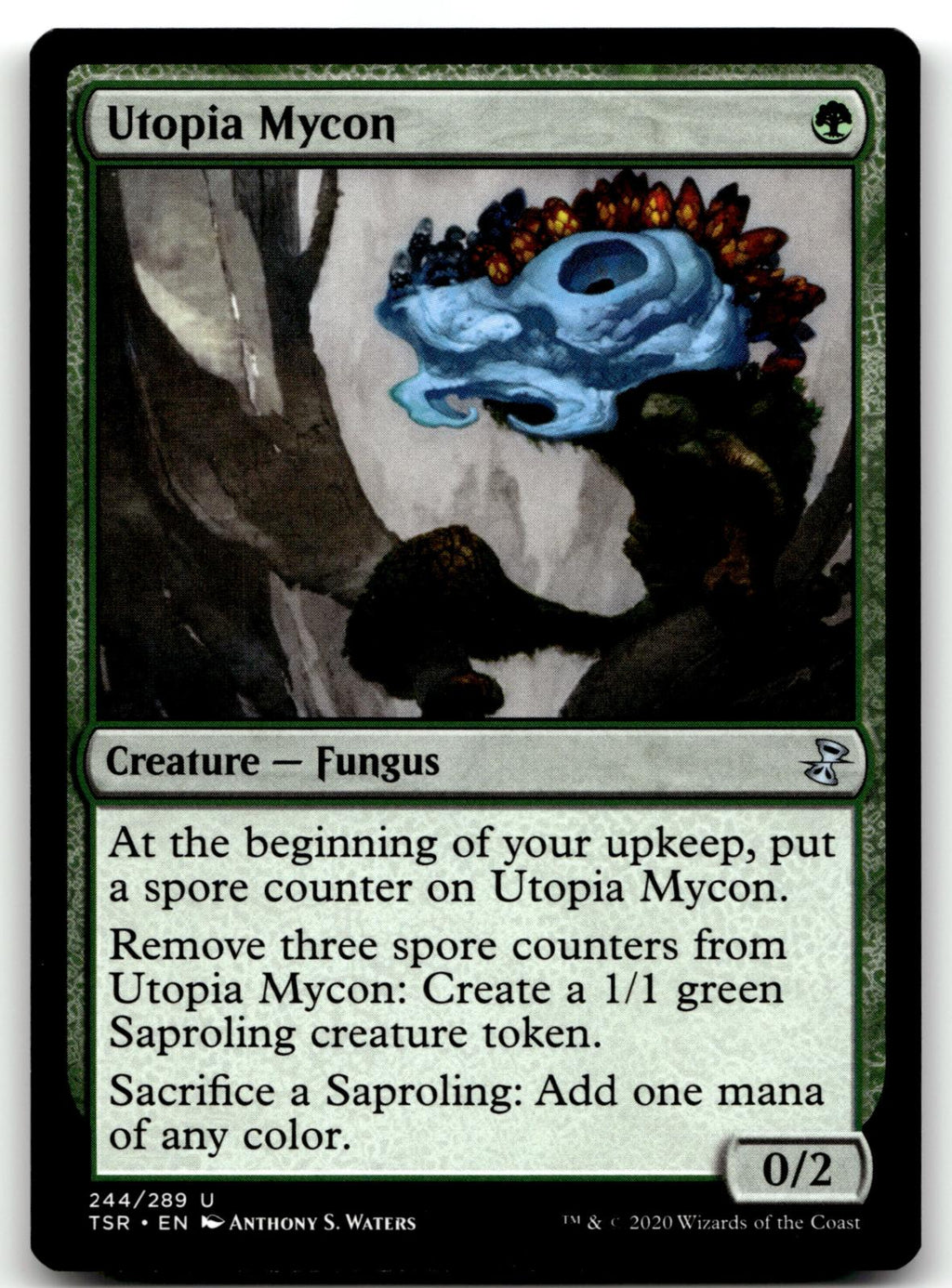 Utopia Mycon 244 Uncommon Time Spiral: Remastered Magic: The Gathering Near Mint
