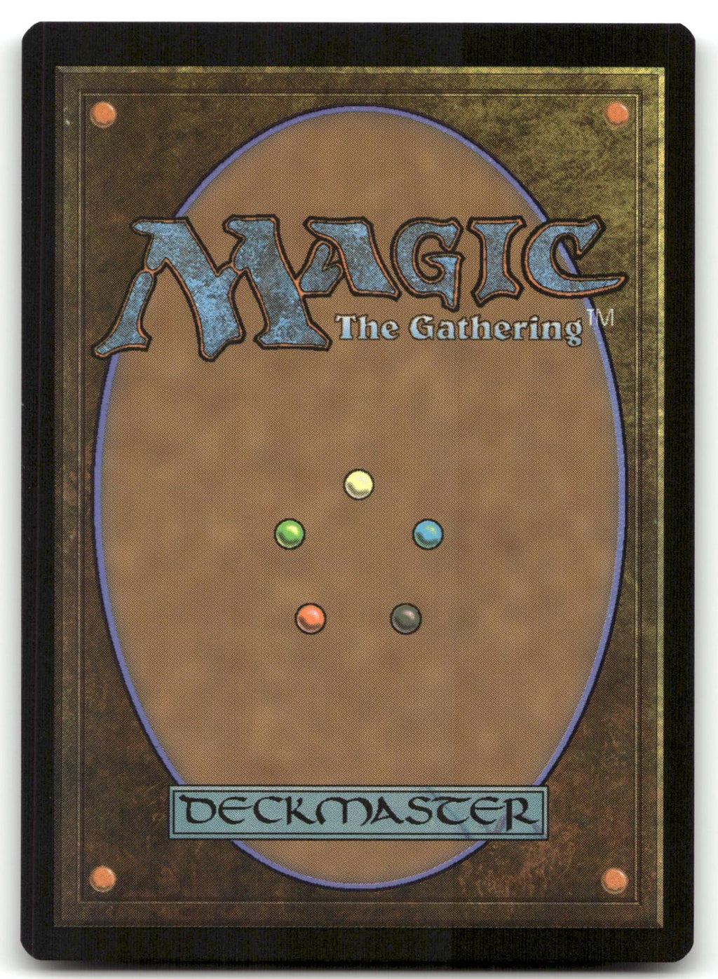Forest 384 Land Zendikar Rising Magic: The Gathering Near Mint