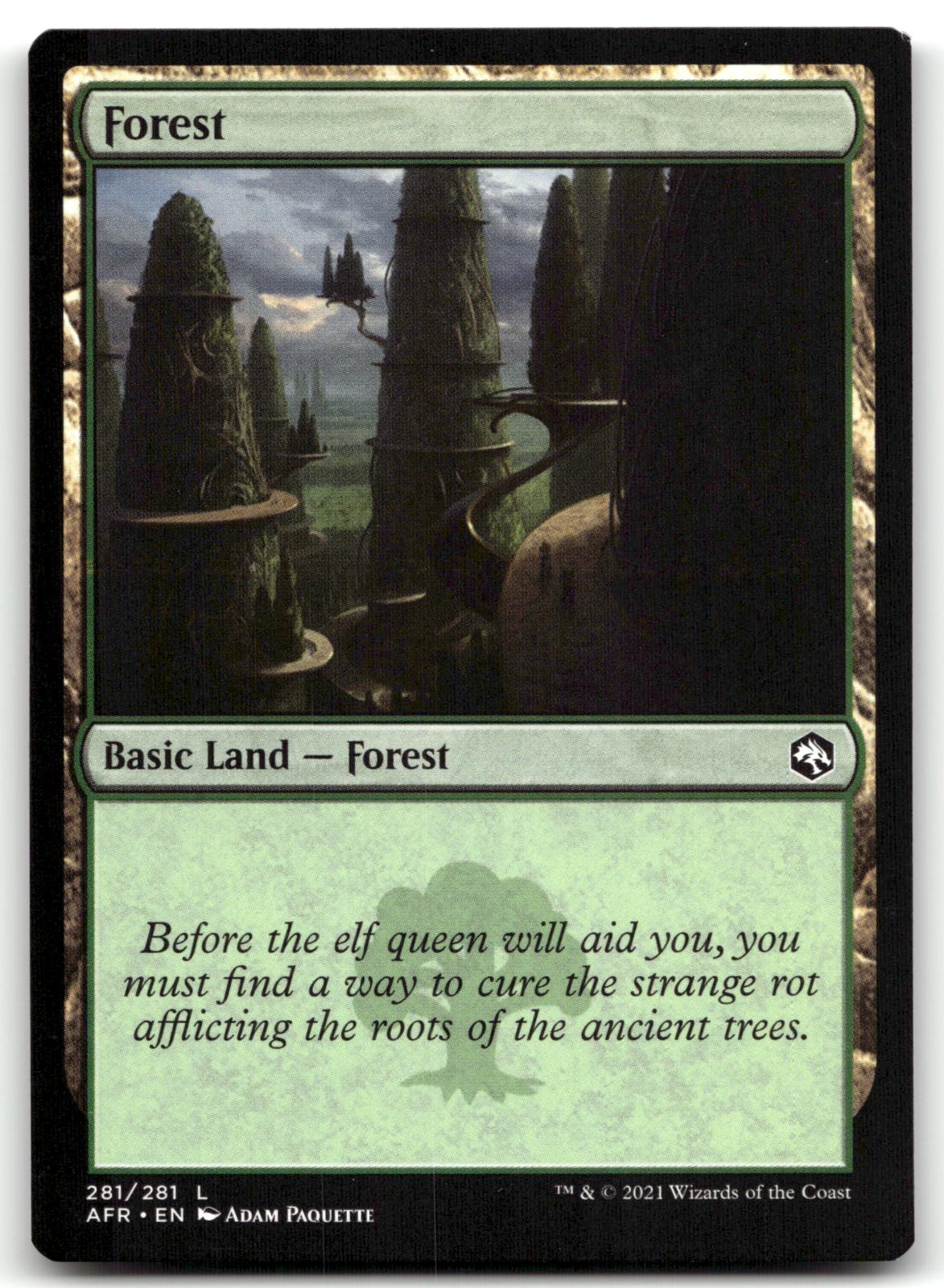 Forest (281) 281 Land Adventures in the Forgotten Realms Magic: The Gathering NM