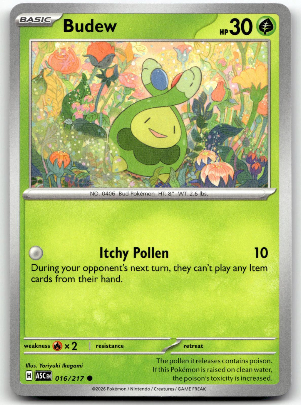 Budew 016/217 Common Ascended Heroes Pokemon Near Mint
