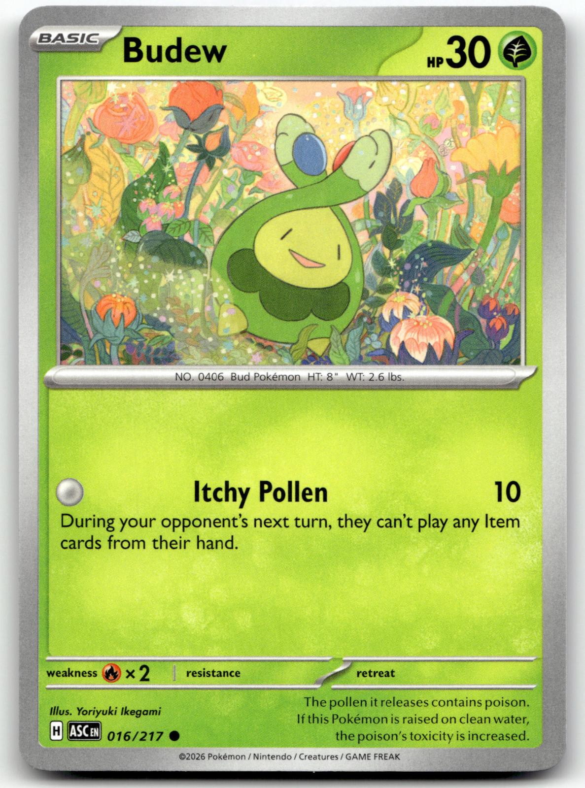 Budew 016/217 Common Ascended Heroes Pokemon Near Mint