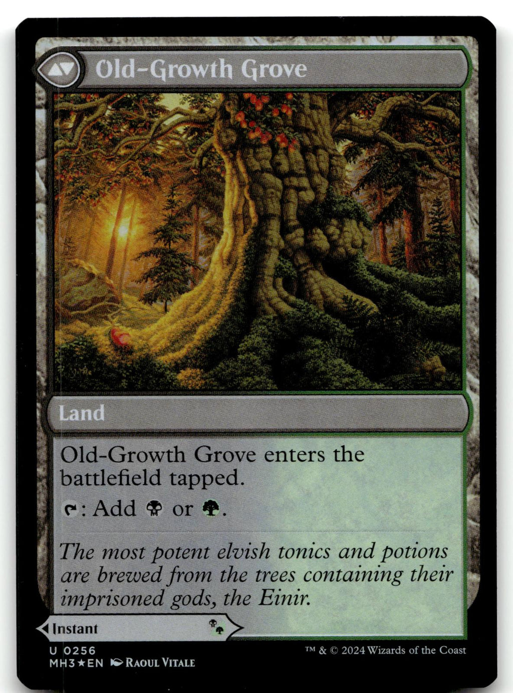 Revitalizing Repast 256 Uncommon Modern Horizons 3 Magic: The Gathering Foil NM