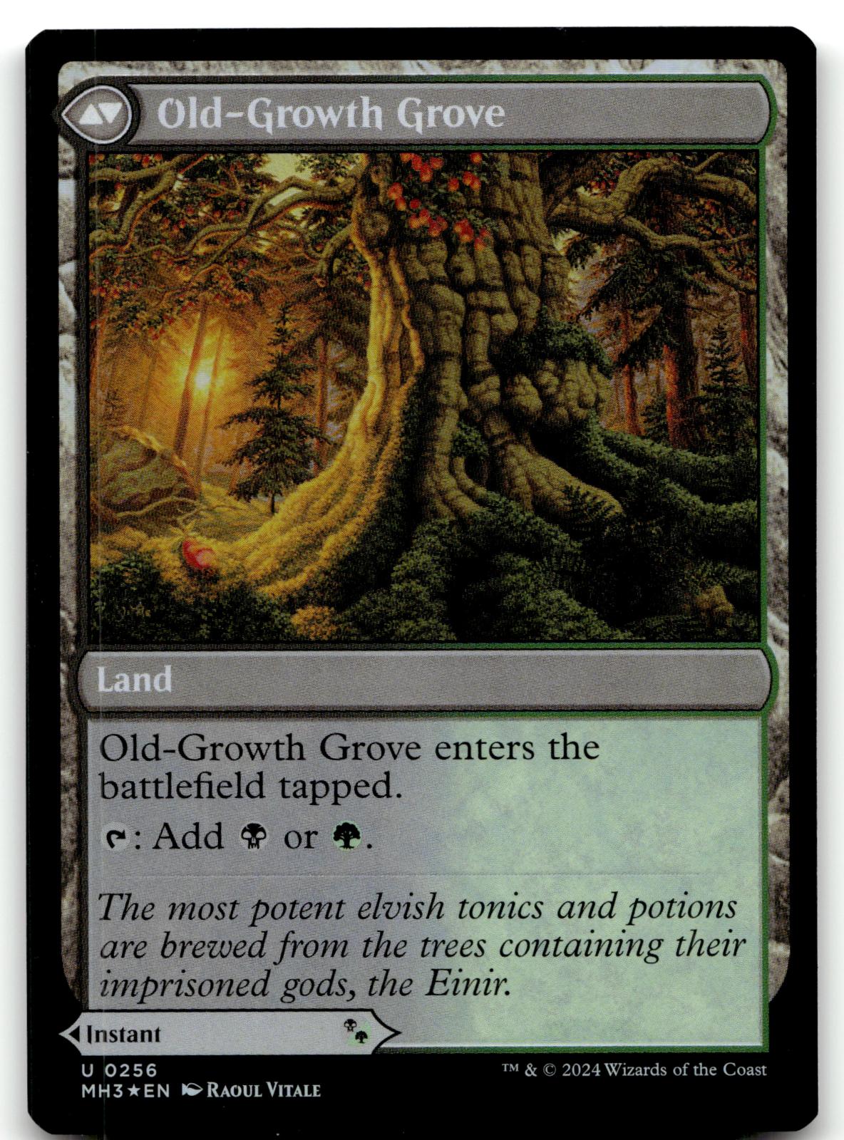 Revitalizing Repast 256 Uncommon Modern Horizons 3 Magic: The Gathering Foil NM