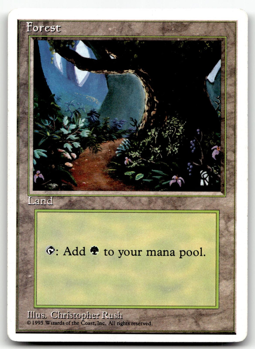 Forest (B) 175 Land Fourth Edition Magic: The Gathering Near Mint
