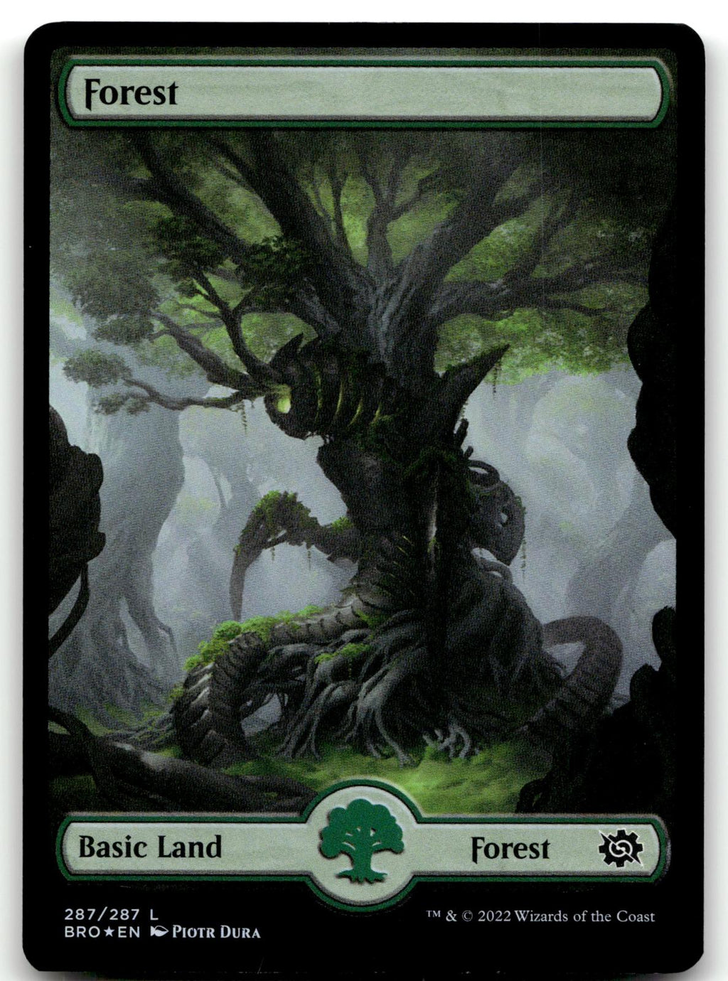 Forest (287) - Full Art 287 Land The Brothers' War Magic: The Gathering Foil NM