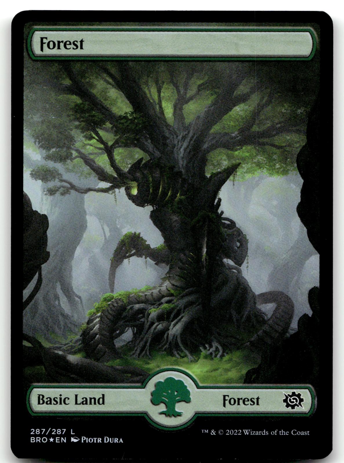 Forest (287) - Full Art 287 Land The Brothers' War Magic: The Gathering Foil NM