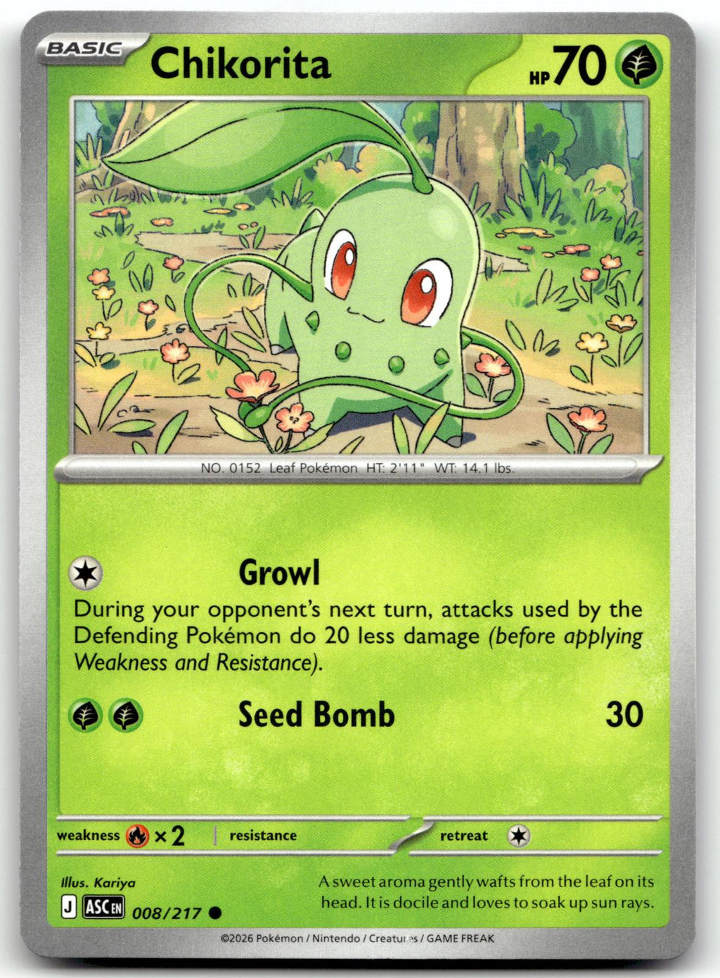 Chikorita 008/217 Common Ascended Heroes Pokemon Near Mint
