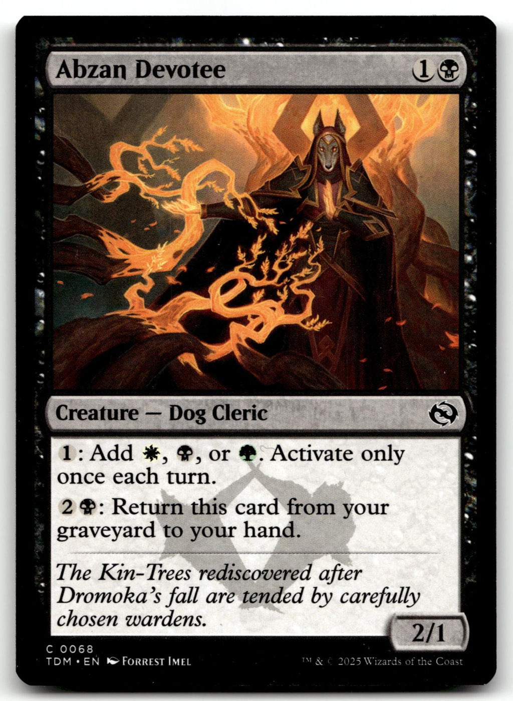 Abzan Devotee 68 Common Tarkir: Dragonstorm Magic: The Gathering Near Mint