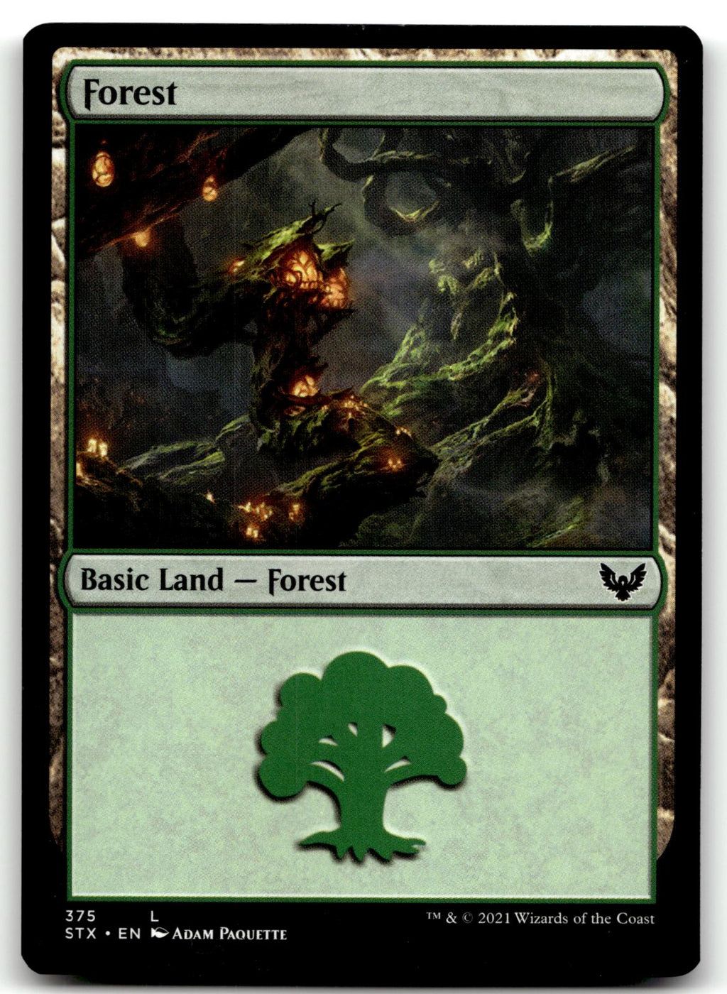 Forest (375) 375 Land Strixhaven: School of Mages Magic: The Gathering Near Mint
