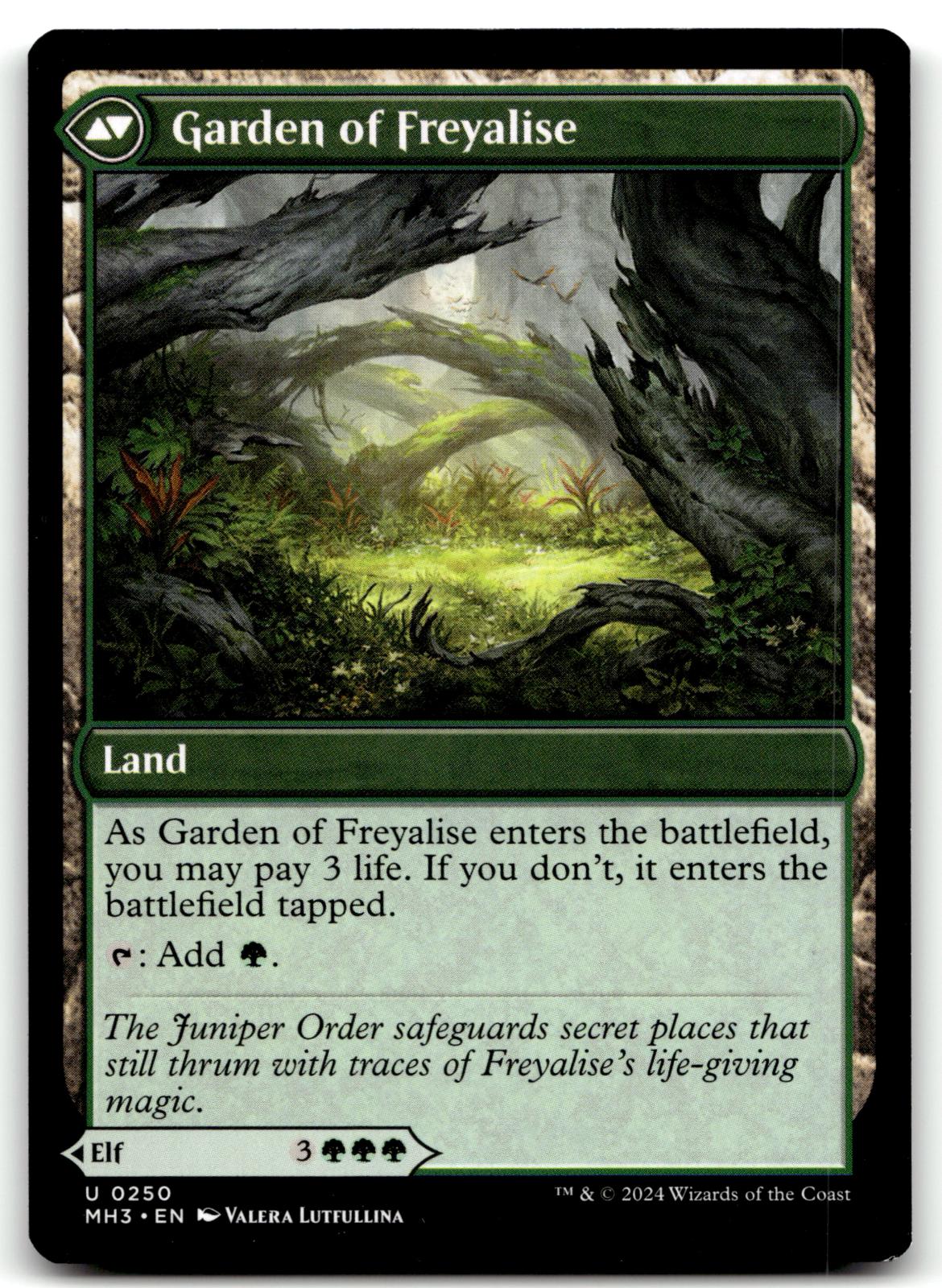 Disciple of Freyalise 250 Uncommon Modern Horizons 3 Magic: The Gathering NM