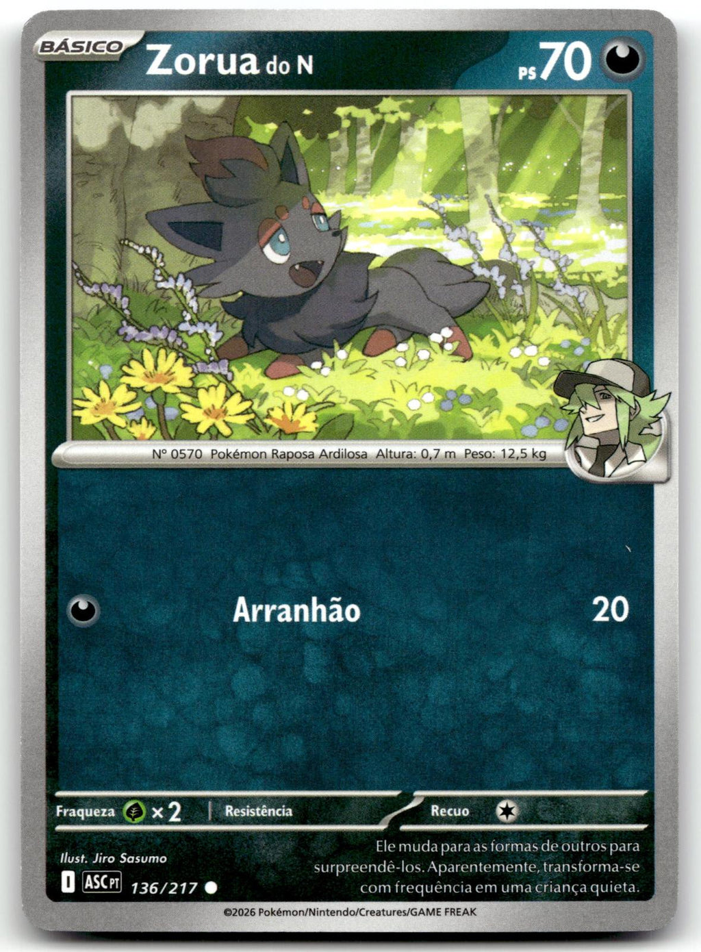 N's Zorua 136/217 Common Ascended Heroes Pokemon Near Mint