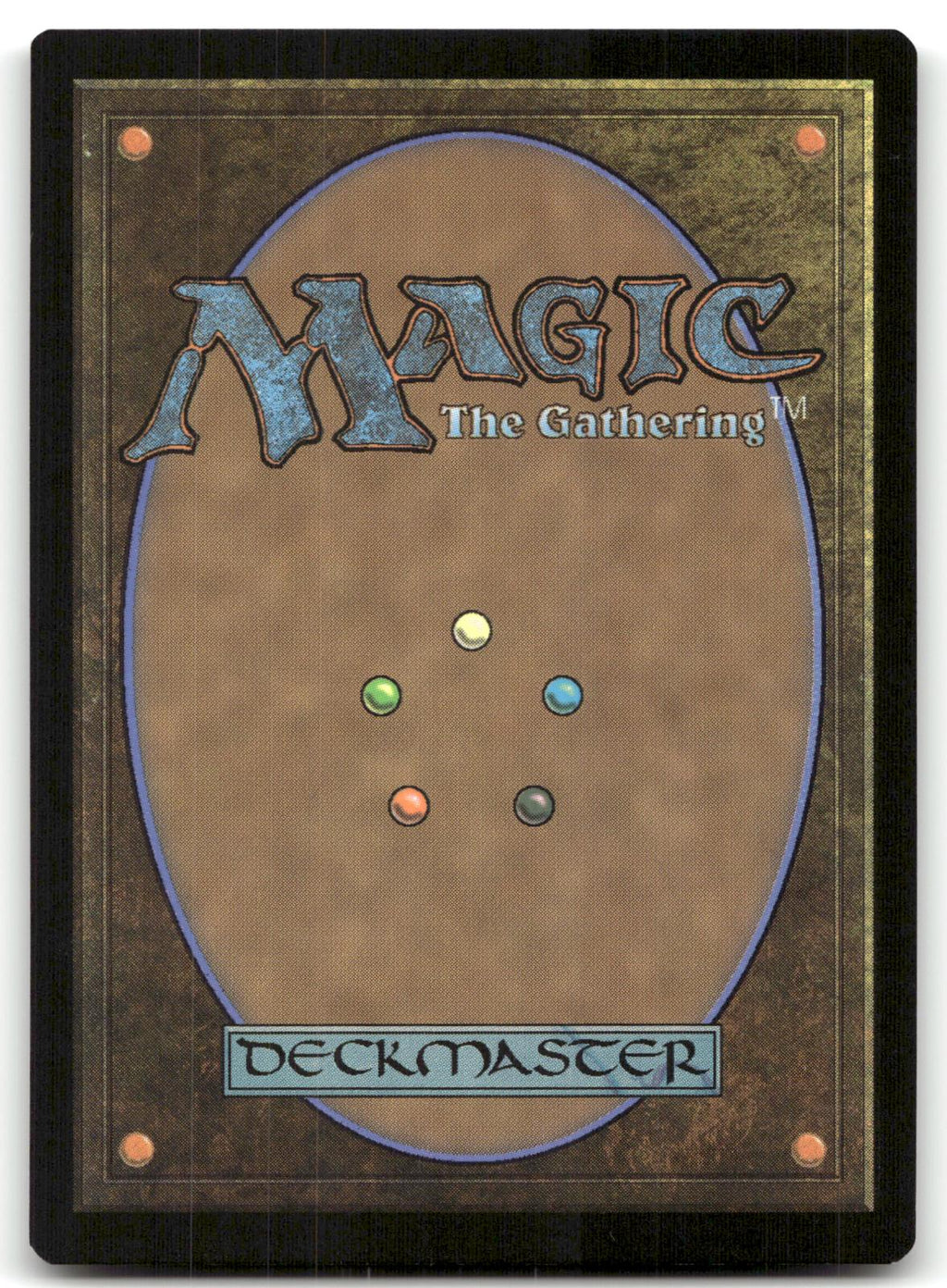 Forest (280) 280 Land Adventures in the Forgotten Realms Magic: The Gathering NM
