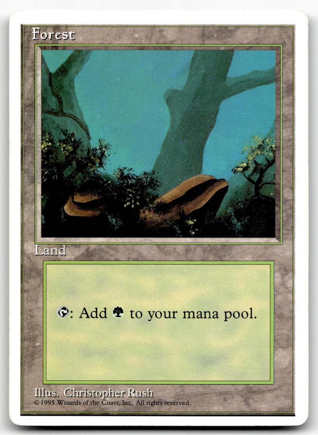 Forest (A) 177 Land Fourth Edition Magic: The Gathering Near Mint