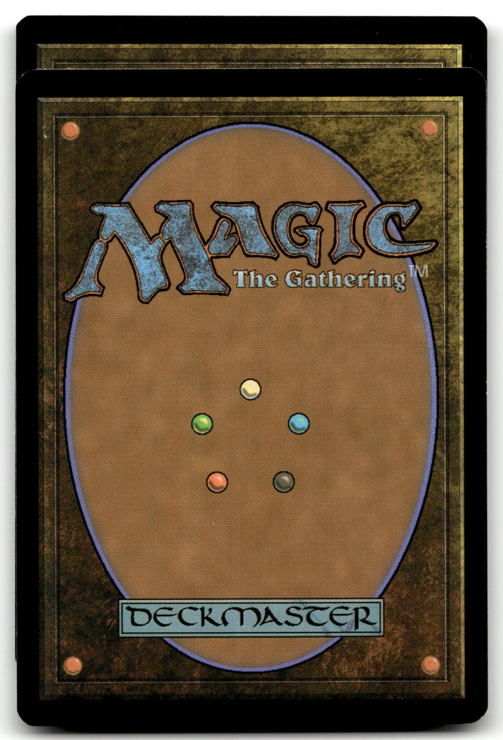 Chainflail Centipede 90 Common Kamigawa: Neon Dynasty Magic: The Gathering NM