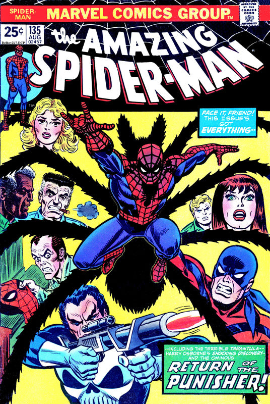 The Amazing Spider-Man, Vol. 1 #135A (Regular Edition) 3rd Appearance of Punisher